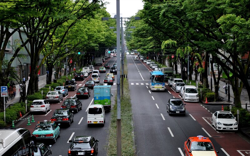 Tree-lined street with traffic