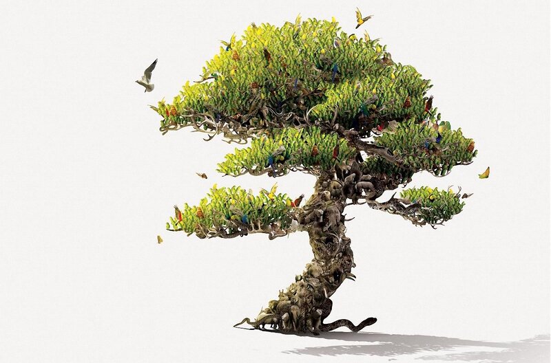 Tree made of birds and animals
