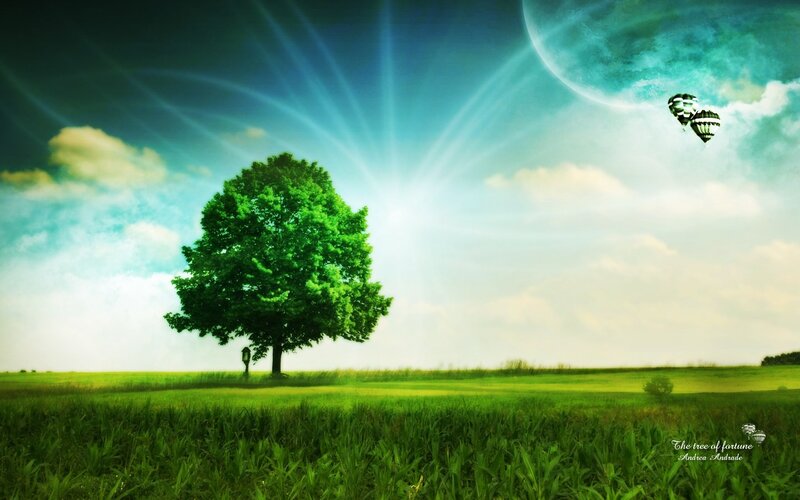 Tree of fortune in a surreal landscape