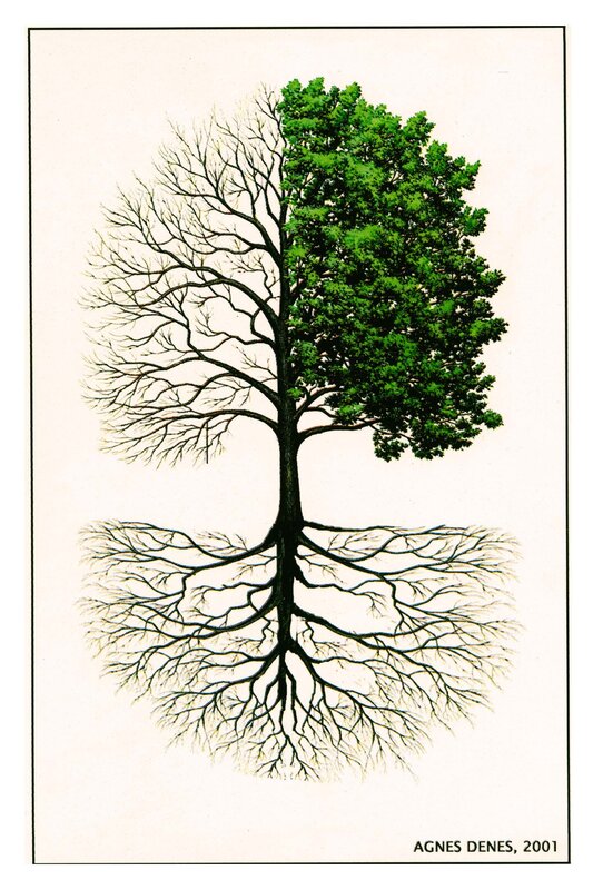 Tree of Life and Death