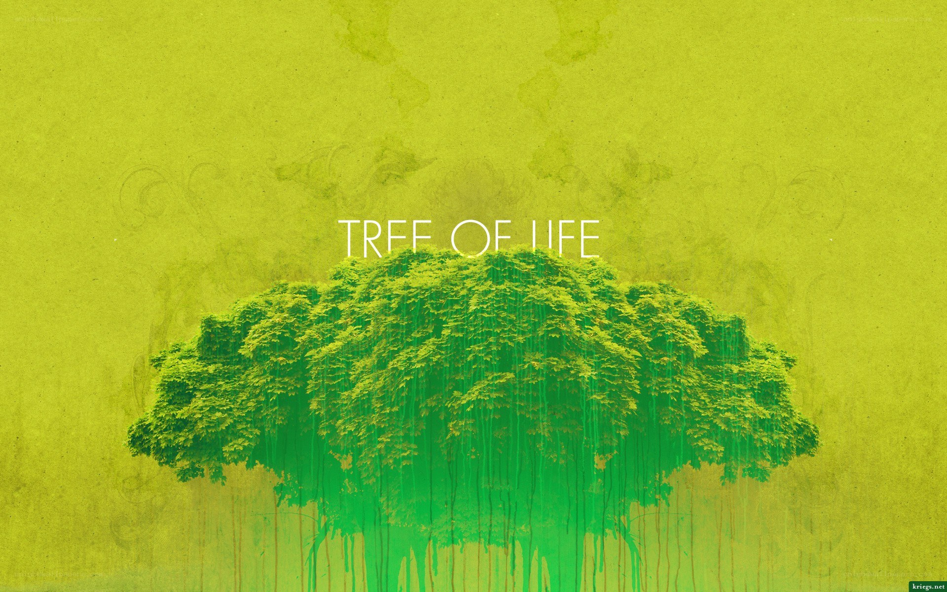 Tree of Life artwork