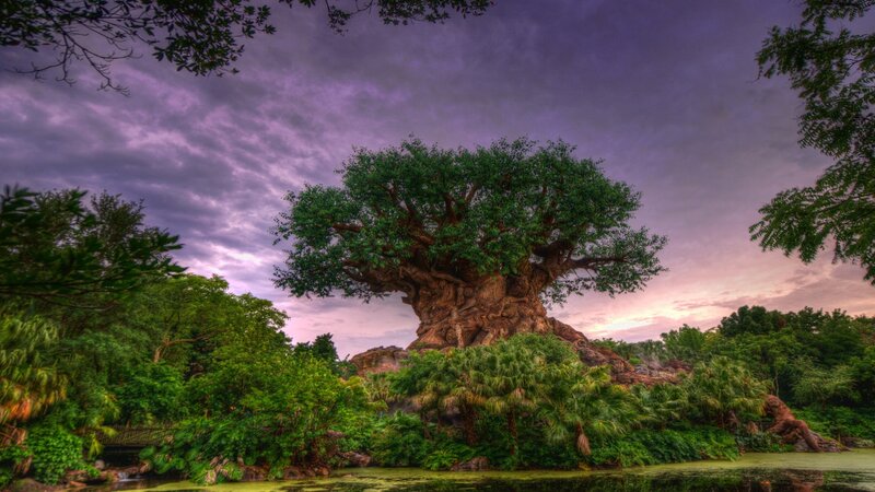 Tree of Life Attraction — Green