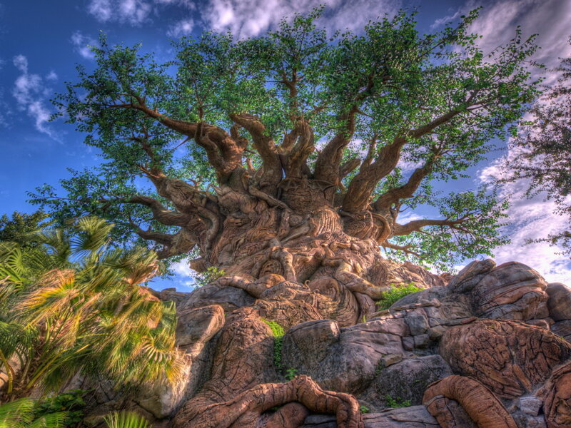 Tree of Life Attraction