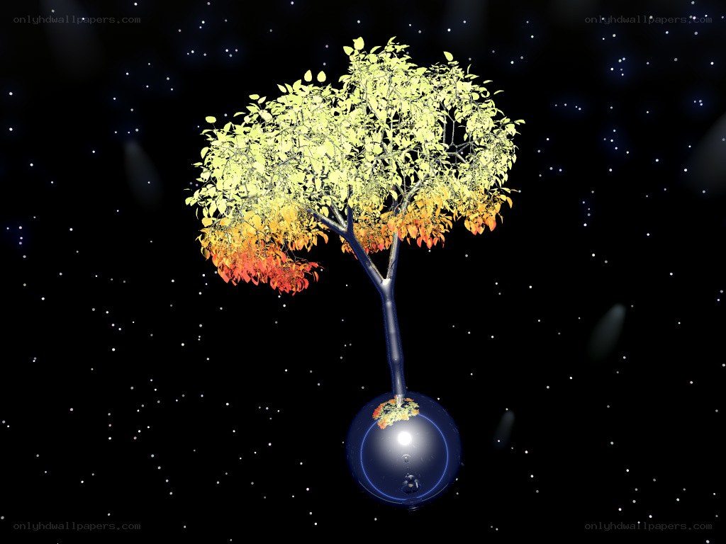Tree of Life in Space