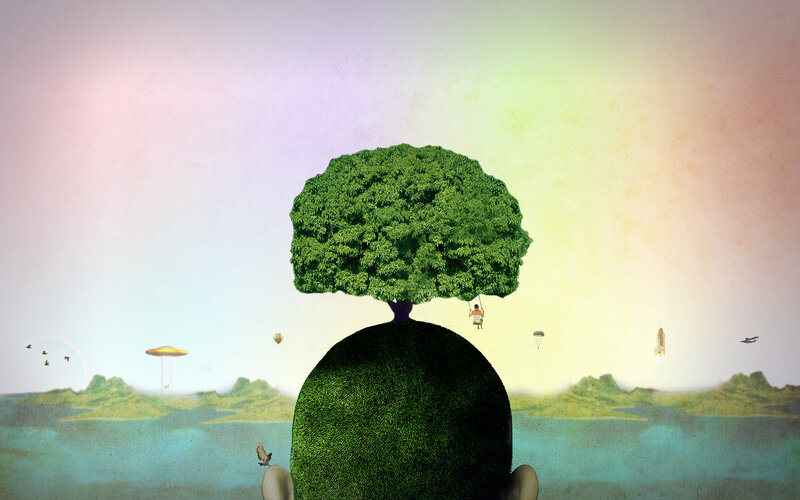 tree of life landscape