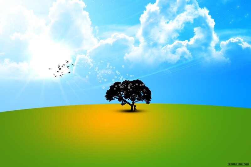 Tree of Life on a Hill
