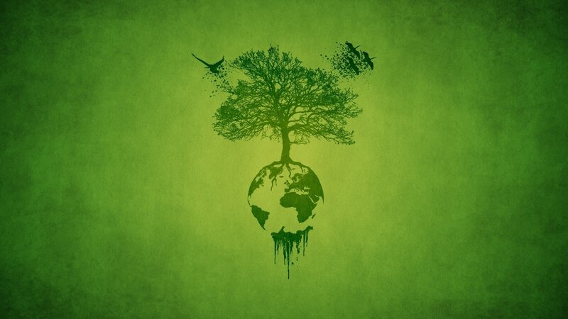 Tree of Life on Earth