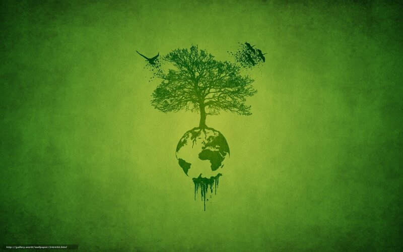 Tree of Life on Earth