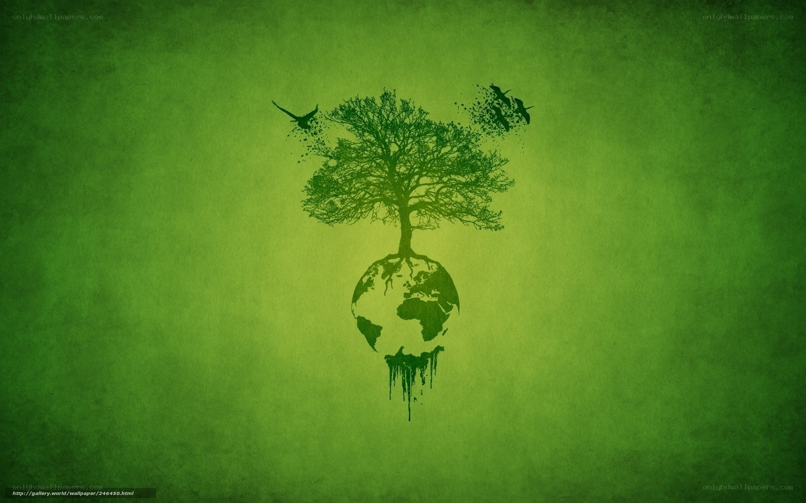 Tree of Life on Earth