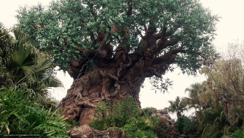 Tree of Life Sculpture — Green, Serene, Photograph