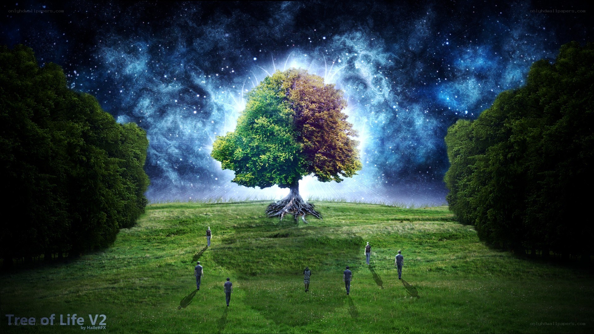 Tree of Life V2