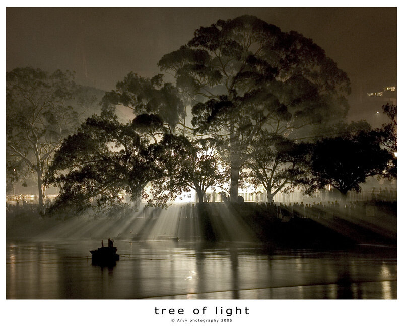 tree of light