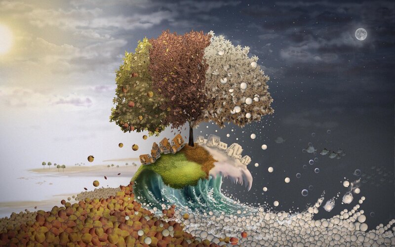 Tree of Seasons on a Wave