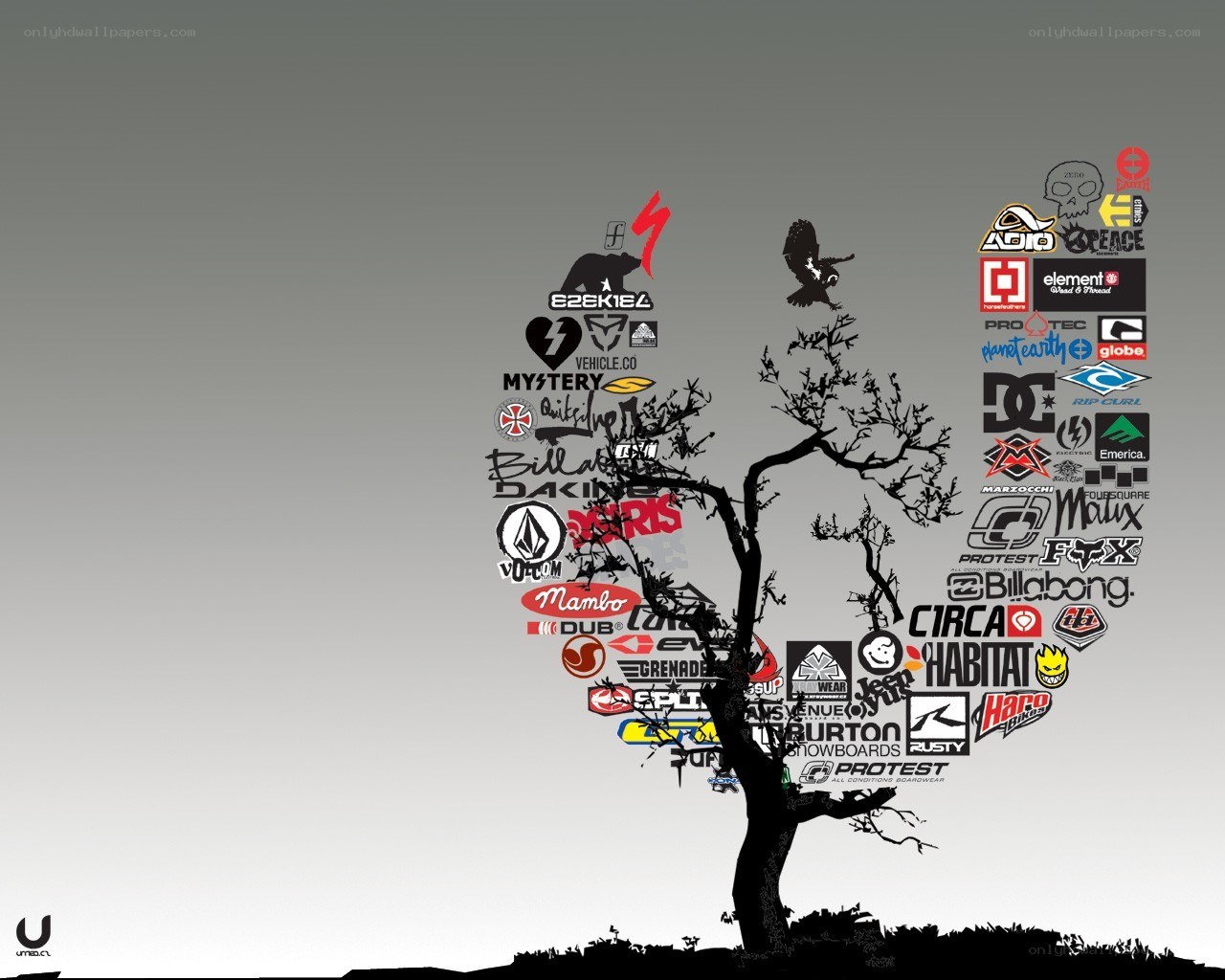 tree of skate brands
