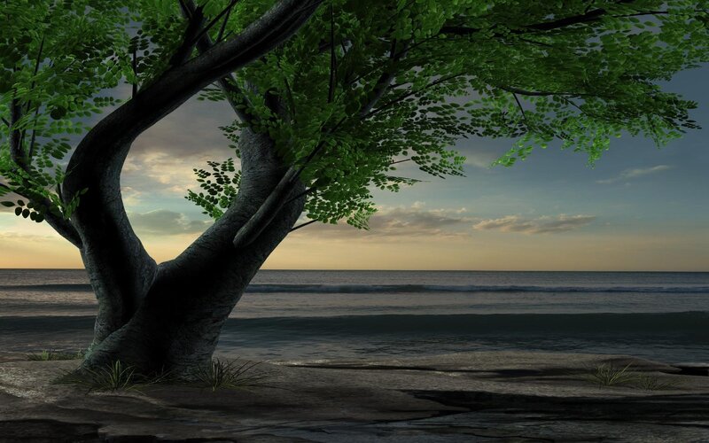 Tree on a Beach — Green