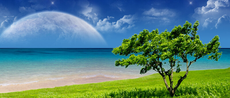 Tree on a beach with planet