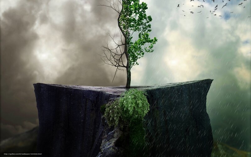Tree on a Cliff — Green, Dramatic