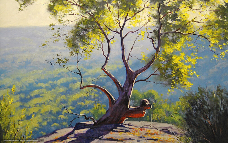 Tree on a Cliff — Green, Serene, Afternoon