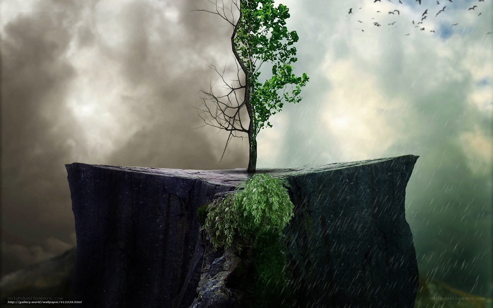 Tree on a cliff in storm