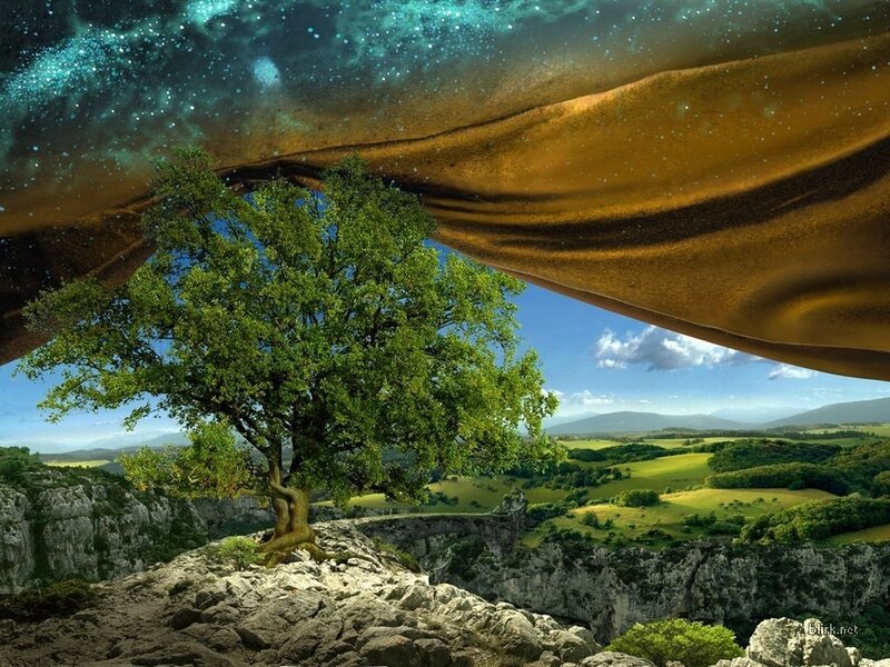 Tree on a cliff under starry sky