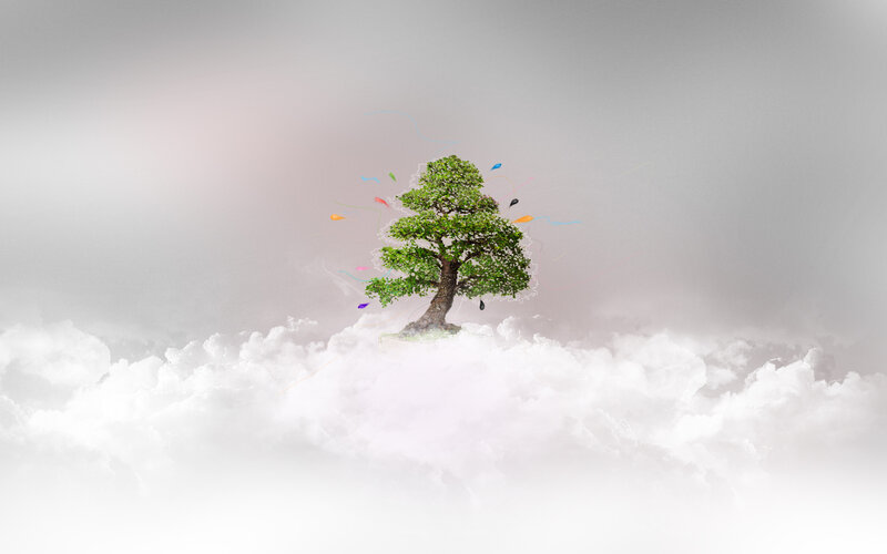 Tree on a cloud island