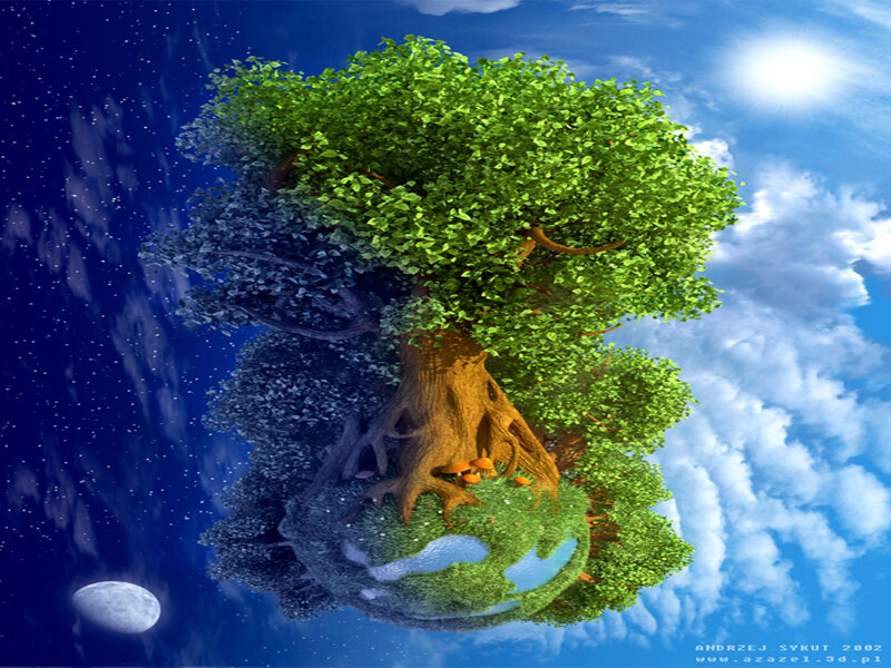 Tree on a Globe