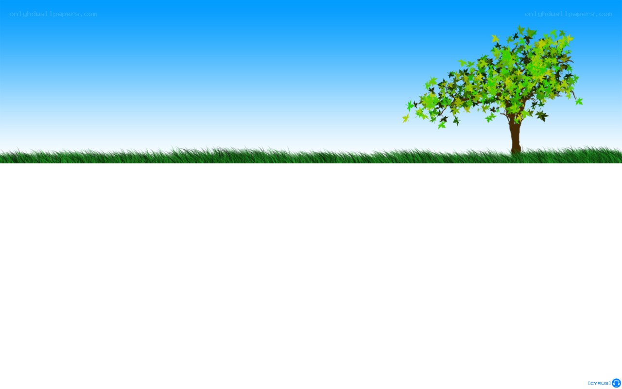 tree on a grassy field