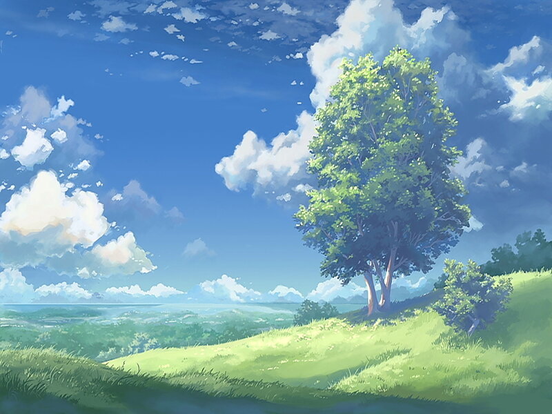 Tree on a Grassy Hill