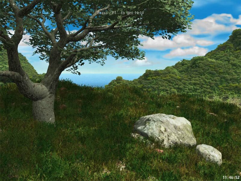 tree on a grassy hillside