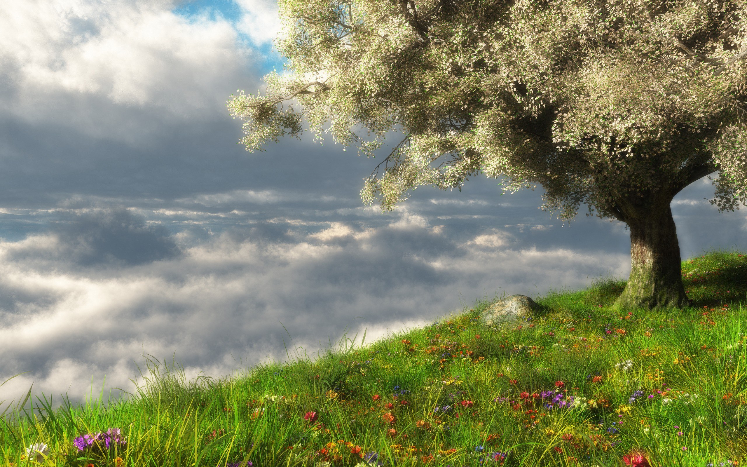 Tree on a hill above the clouds