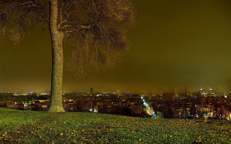 Tree on a Hill at Night — Green