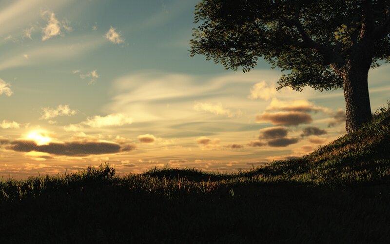 Tree on a Hill at Sunset — Green, Serene