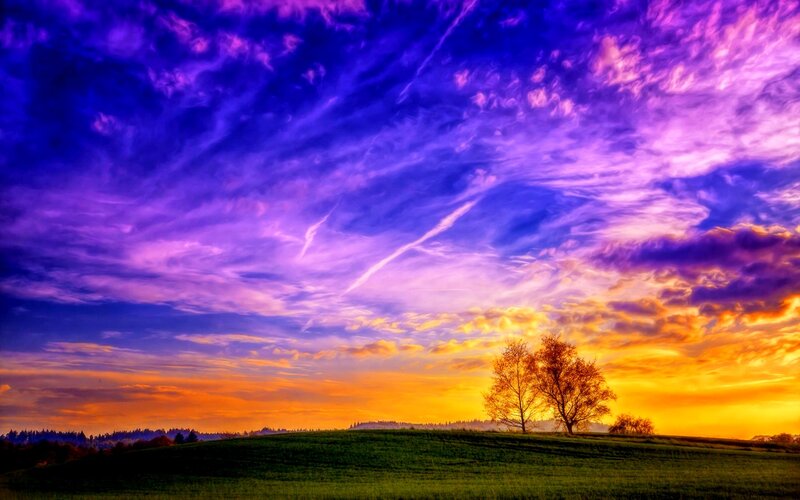 Tree on a Hill at Sunset — Purple