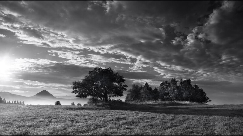 Tree on a Hill — Black, Dramatic, Sunrise