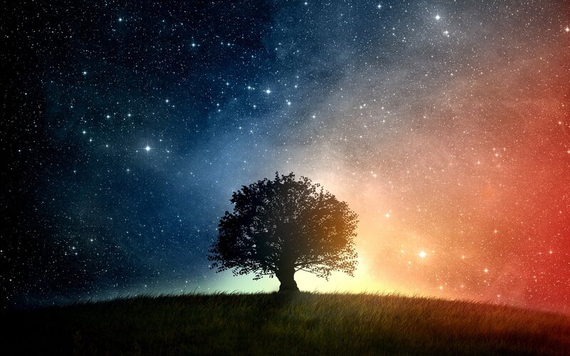 Tree on a Hill — Blue, Serene, Night