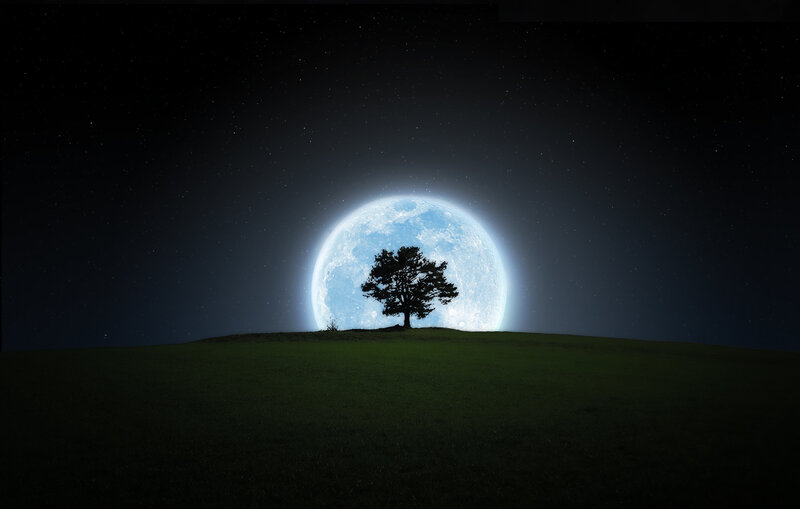Tree on a Hill — Blue