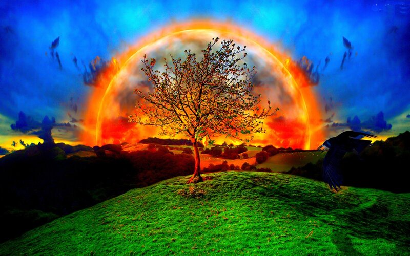 Tree on a Hill — Green, Dramatic, Sunset