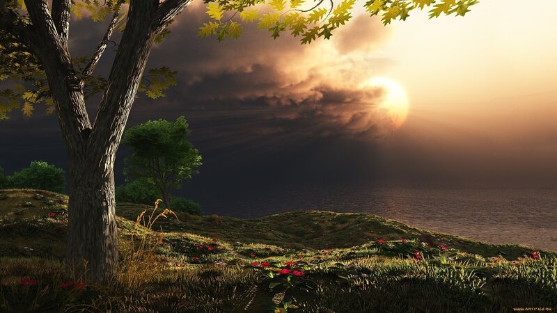 Tree on a Hillside — Green, Dramatic