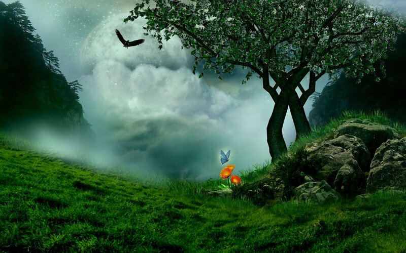 Tree on a Hillside — Green, Serene, Night