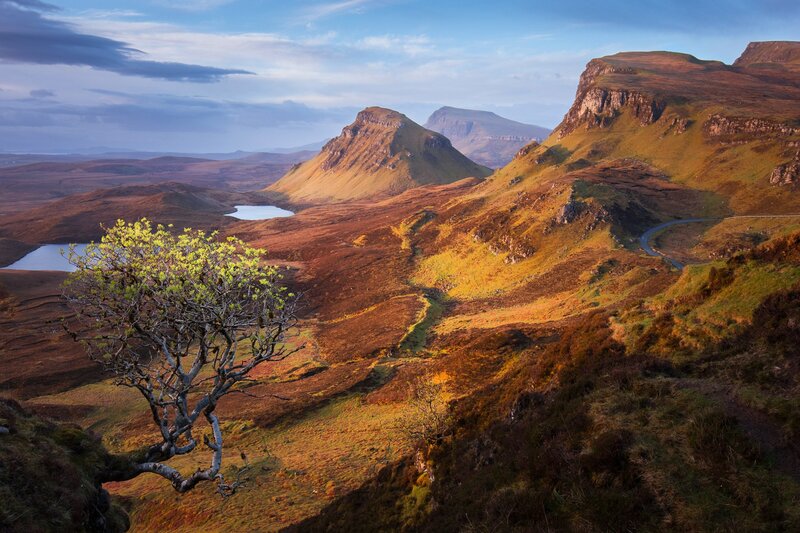 Tree on a Hillside — Green, Serene, Sunset, Photograph, Mountains