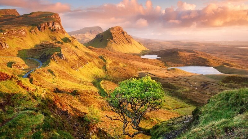 Tree on a Hillside — Green, Serene, Sunset, Photograph