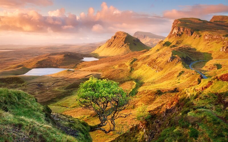 Tree on a Hillside — Green, Serene, Sunset