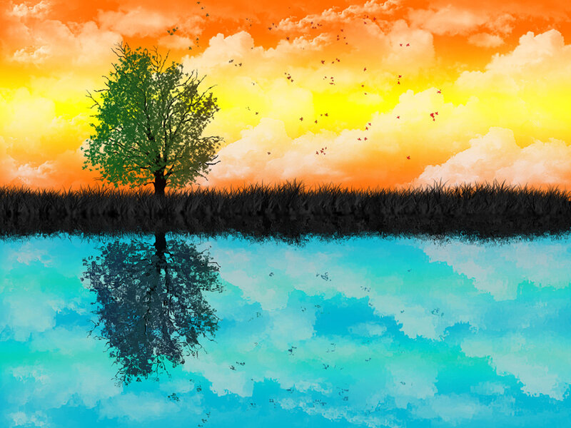 Tree on a Lake Shore