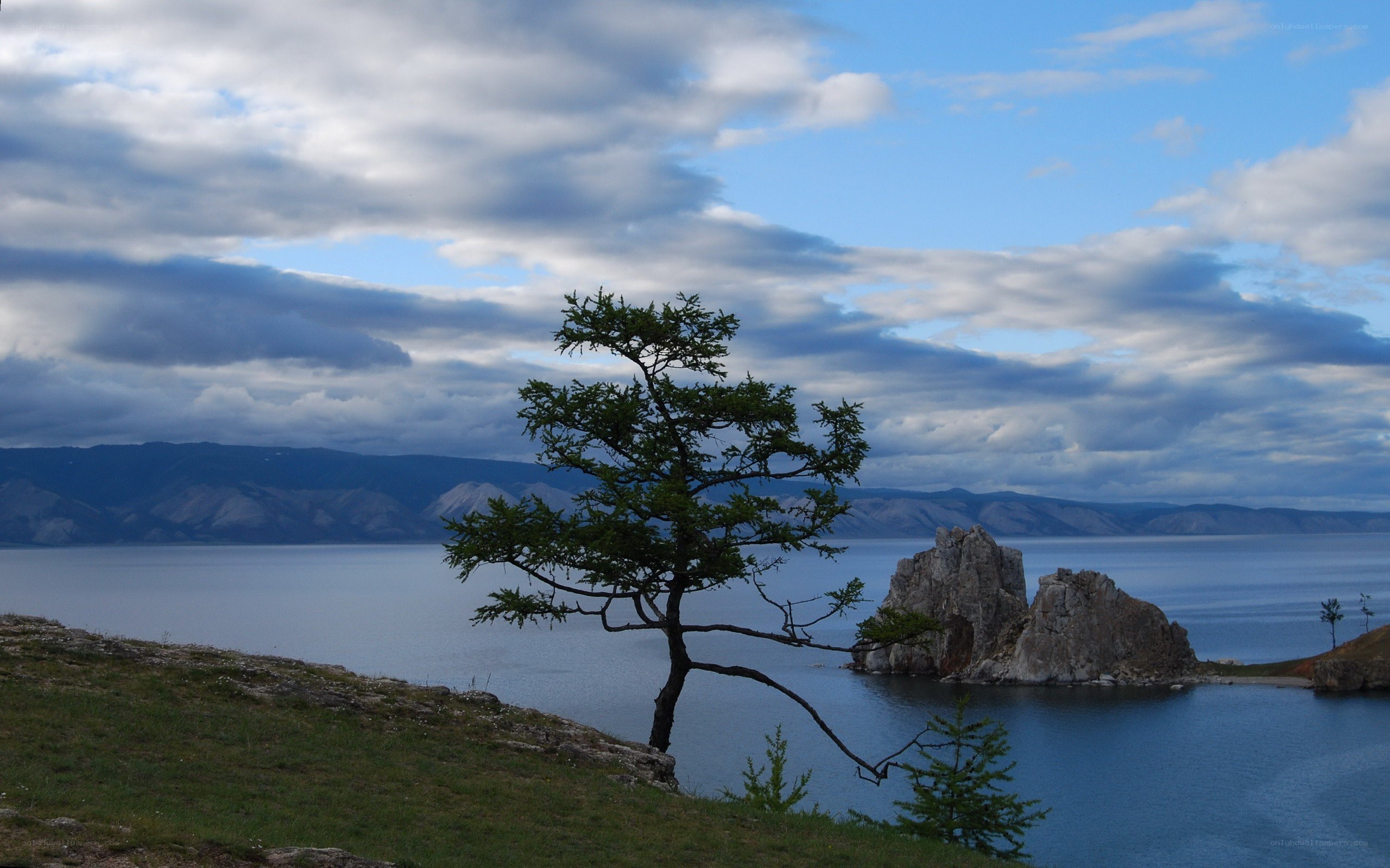 Tree on a lakeshore with rock formation