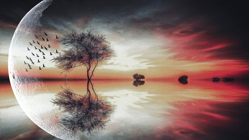Tree on a Moon