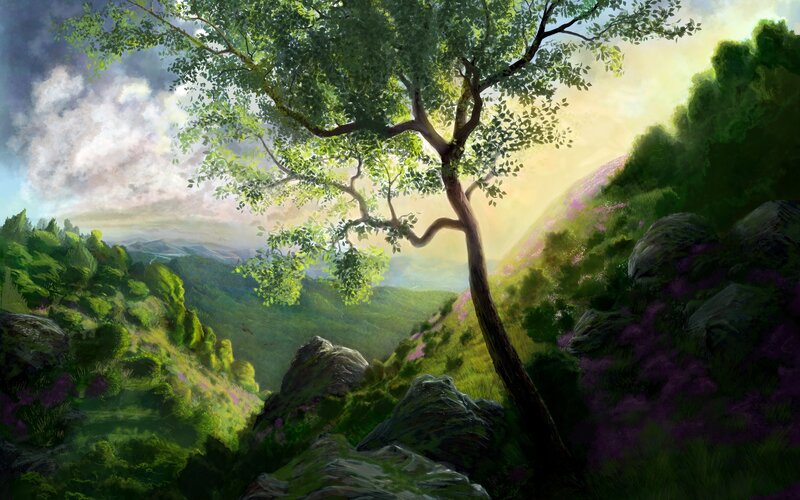 Tree on a Mountain Slope — Green
