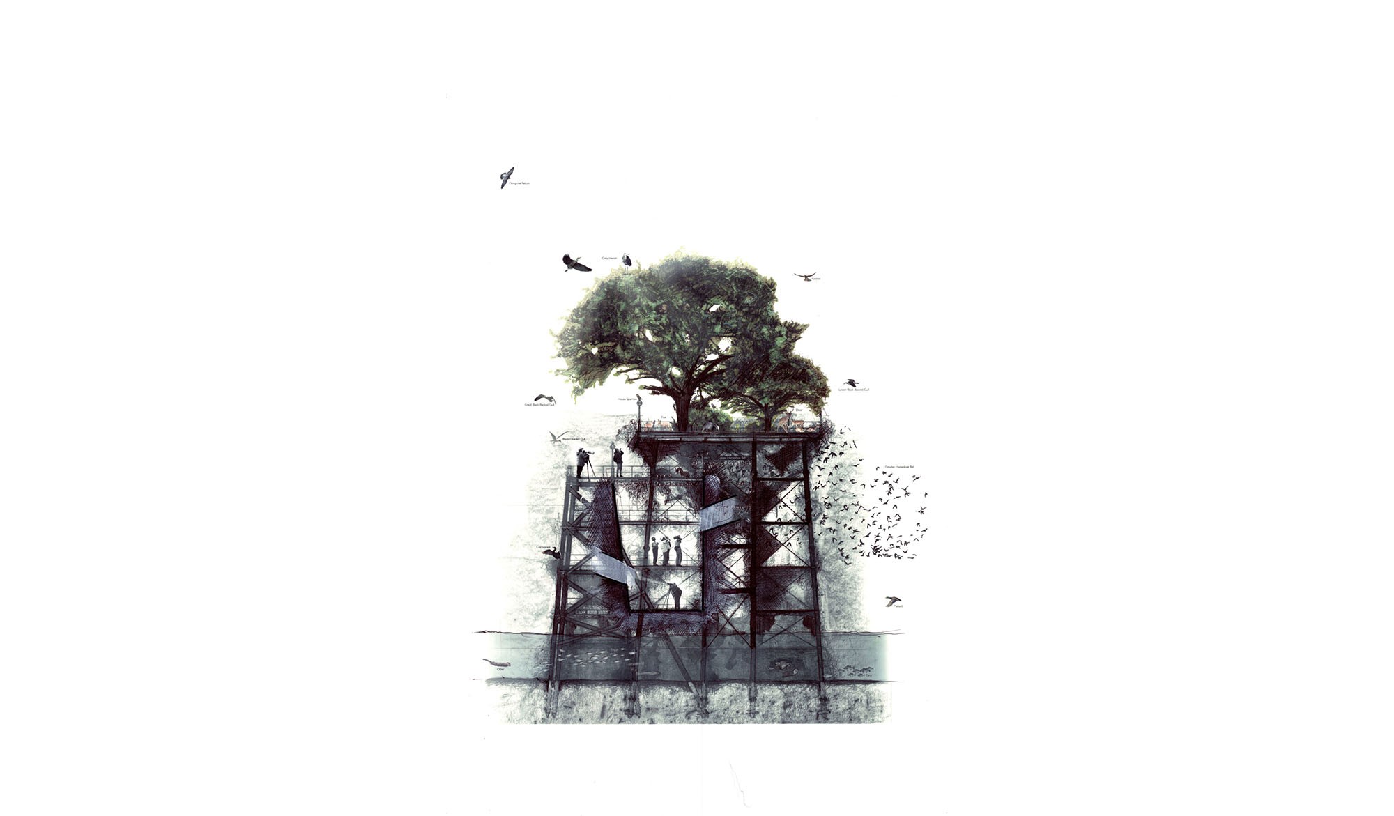 tree on a platform