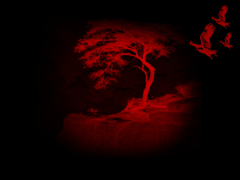 Tree on a Rock