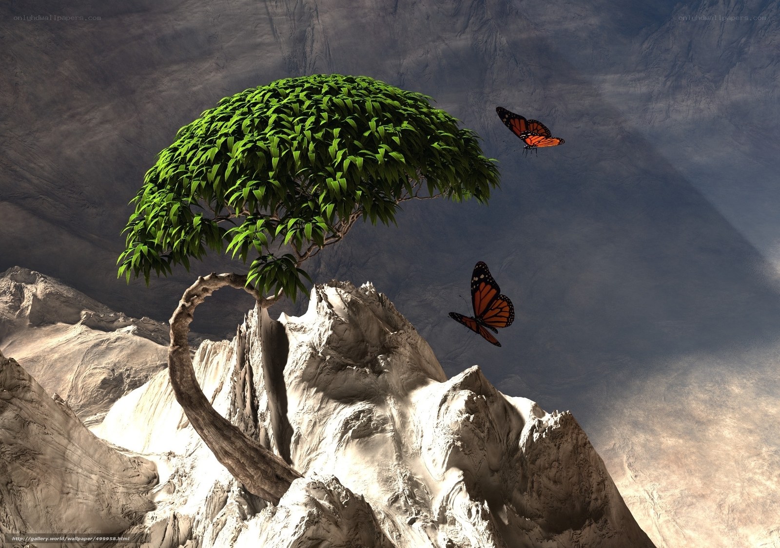 Tree on a rocky cliff