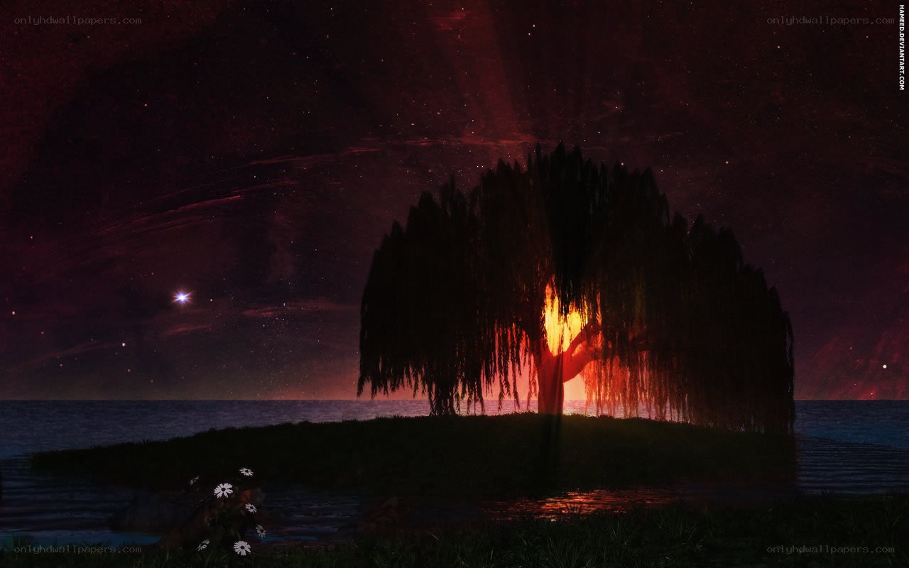 Tree on a small island at night